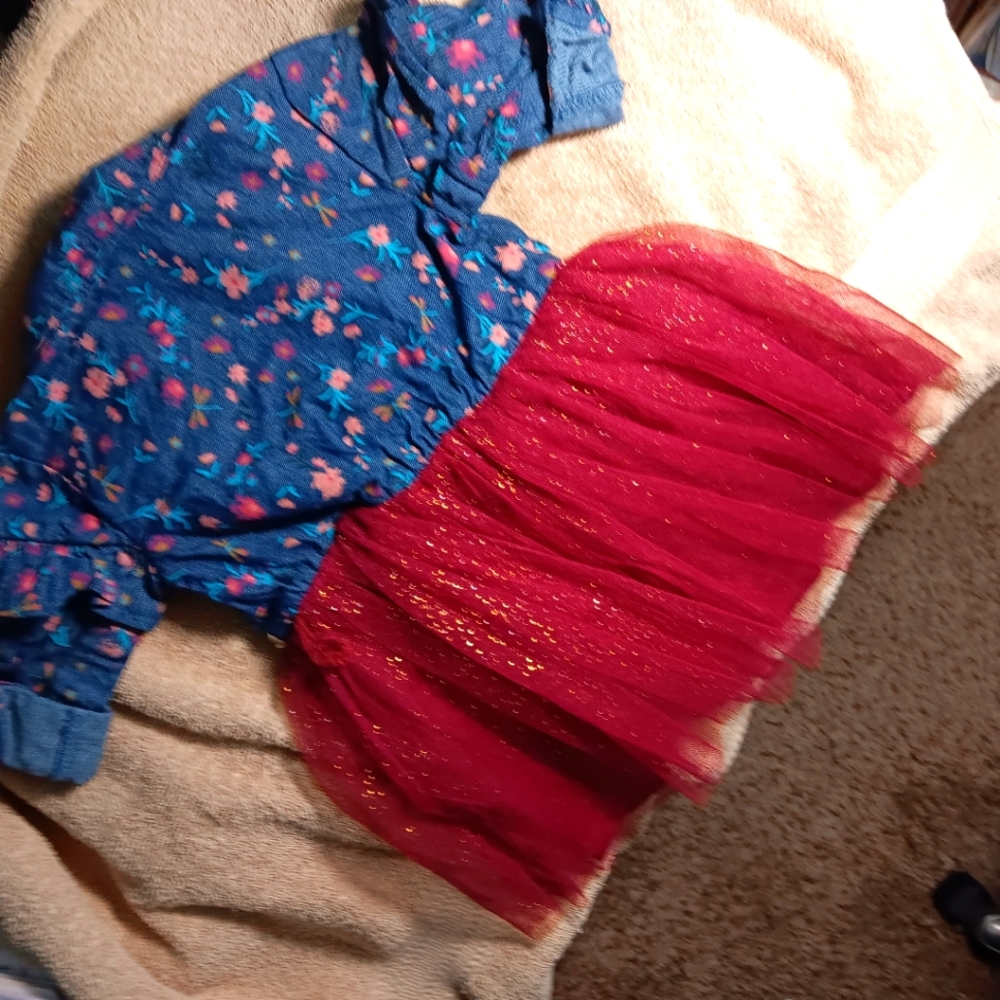 Little Lass Floral Denim Upper w/Glittery Full Tulle Dress, Size 12M